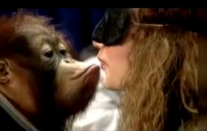 Monkey Love